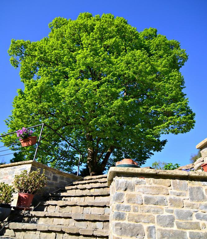 Hostal Cascina Il Convivio Diano dʼAlba Exterior foto